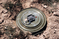 800px-TM-46 AP-mine.jpeg