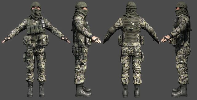 File:PLR Infantry.jpg