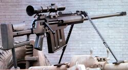 Amr-2-IRL.jpg