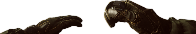 File:BF4 V40.png