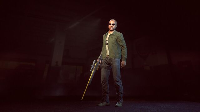 File:Undercover Professional Elite.jpg