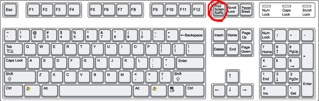 File:Print Screen.png