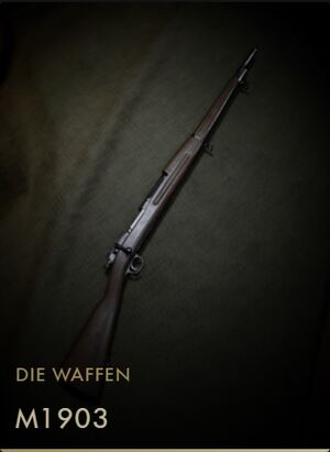 BF1 Kodexeintrag M1903.jpg