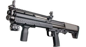 KSG12 IRL