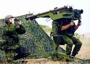 IrlStinger dual launcher.jpg