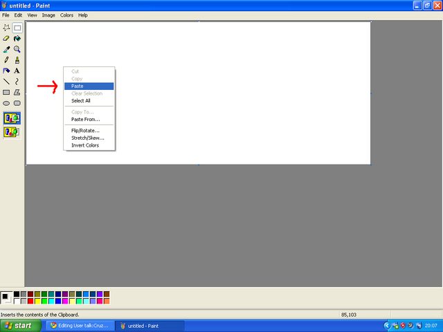 File:Paste Paint.png