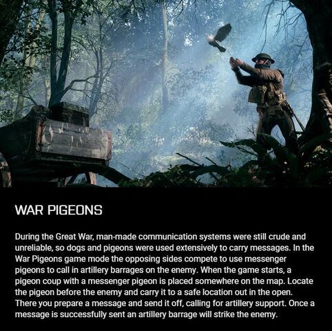 File:War Pigeons Description.jpg