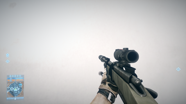 File:M40A5 Custom.png