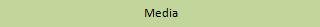 Bestand:Media.jpg