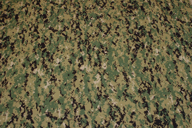 File:AOR-2.jpg