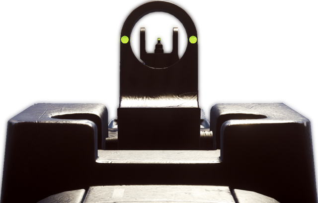 File:BF4 F2000-2.png