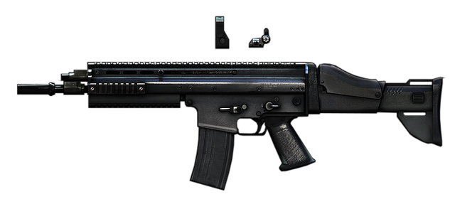 File:BFP4F SCARL View.png