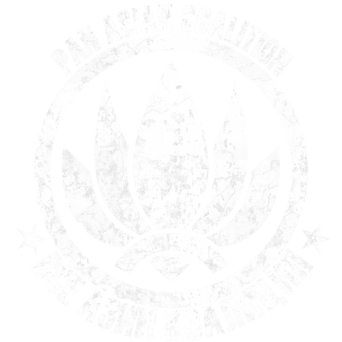File:BF4 PAC.png