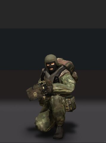 File:Spetz support.jpg