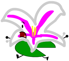 Lily