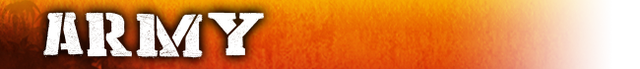 File:Banner Army.png