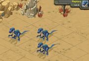 Raptors 8a