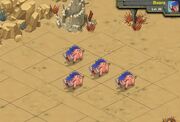 Boars 20a