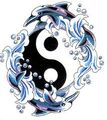 Thumbnail for version as of 23:22, January 9, 2012