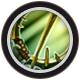 File:Crescent Strike.png