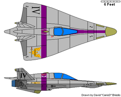 Accipiter Class Fighter