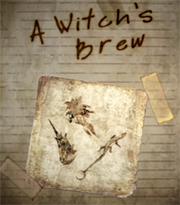 A Witch's Brew