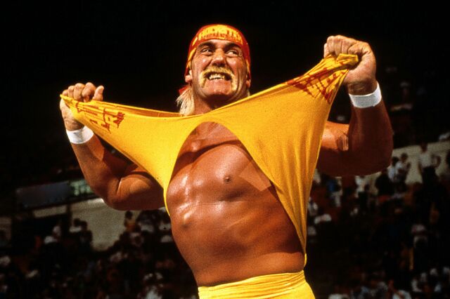 File:Hulk-hogan-wwe.jpg
