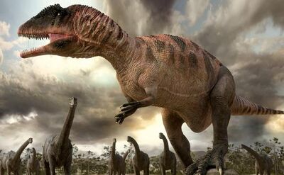 Carcharodontosaurus 1