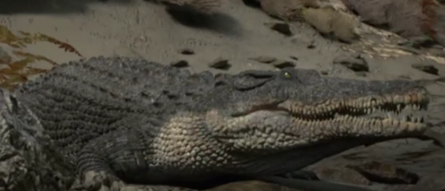 File:Crocplanet.png