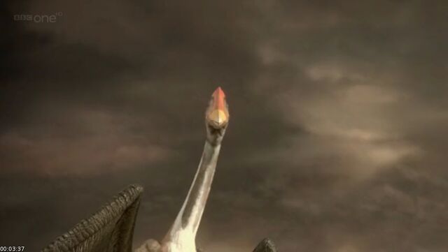 File:Chaoyangopterid Pterosaur.jpg