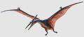 Thumbnail for version as of 14:08, March 2, 2012
