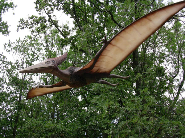 File:Pteranodon (5).jpg