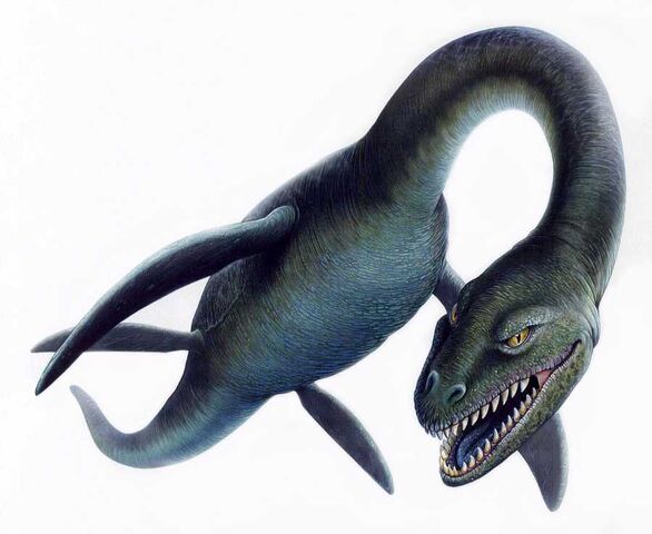 File:Elasmosaurus.jpg