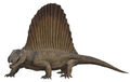 Thumbnail for version as of 18:03, March 2, 2012