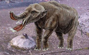 Gomphothere