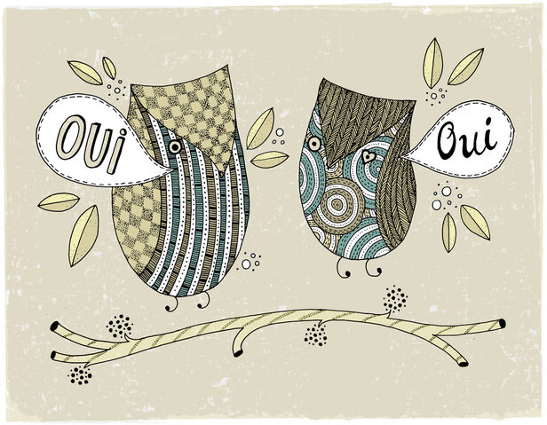 File:French-owls.jpg