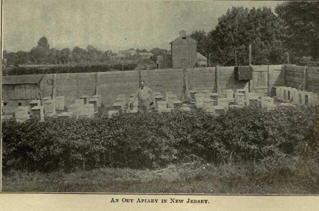 Fișier:Apiary New Jersey.jpg