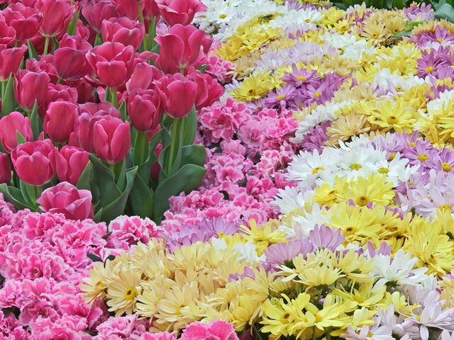 Fișier:Natural Pastels.jpg
