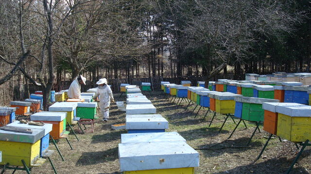 Fișier:DSC04991.jpg