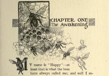 The Awakening
