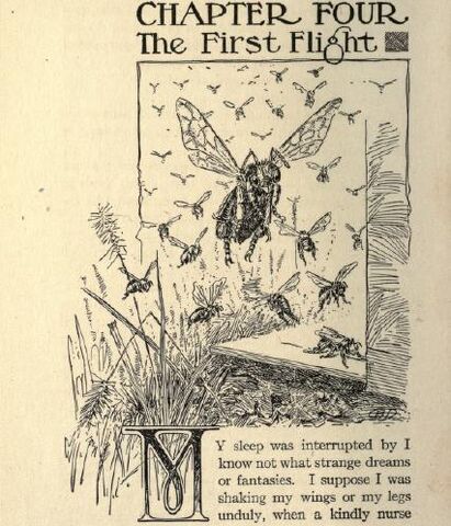 Fișier:The First Flight.jpg