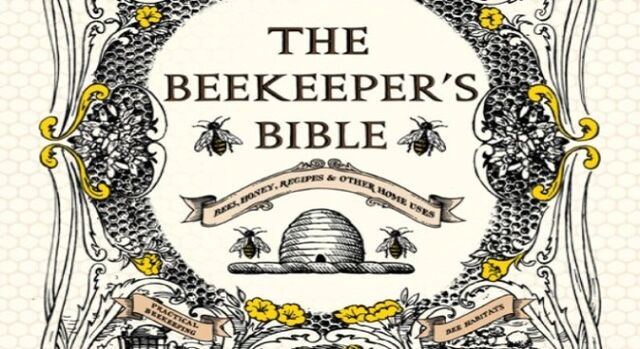 File:Bible.jpg