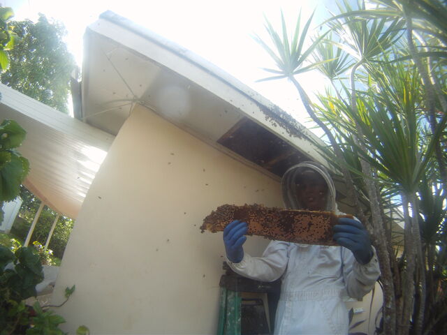 File:GOPR08882.jpg