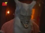 Wolfgang