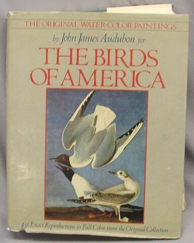 File:BirdsofAmericaCover.jpg
