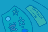 Early Stella System cameo