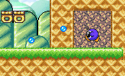 Indigo Waddle Doo