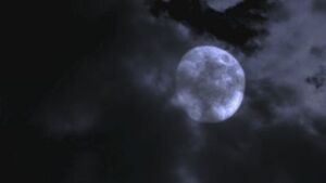 104OrgiederGewaltVollmond1