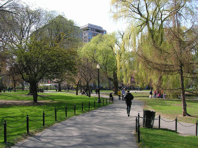 File:BostonCommon.jpg