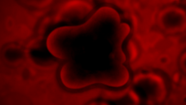 File:TFB1 (313).png